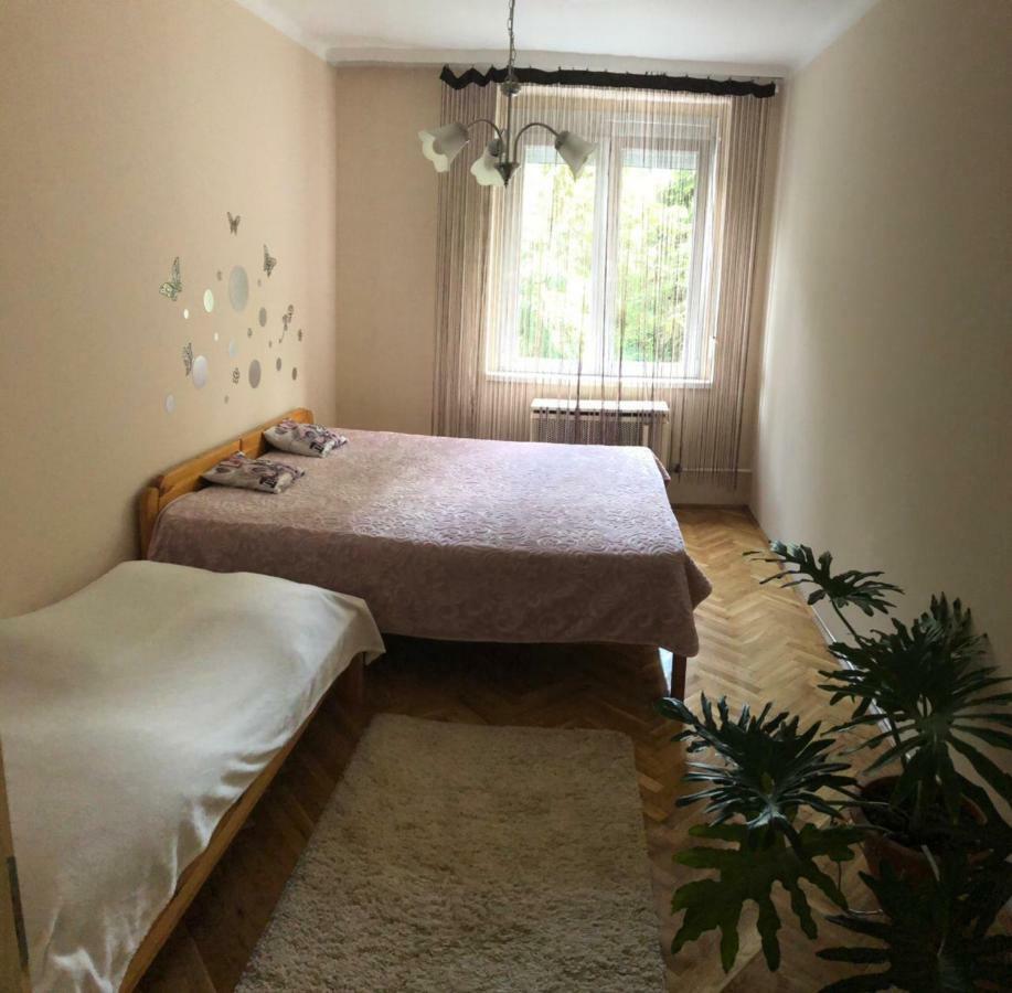 Arany Apartman Kaposvar Apartment Luaran gambar